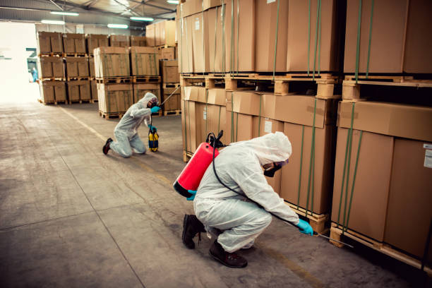 Best Best Pest Control Companies  in Grundy, VA