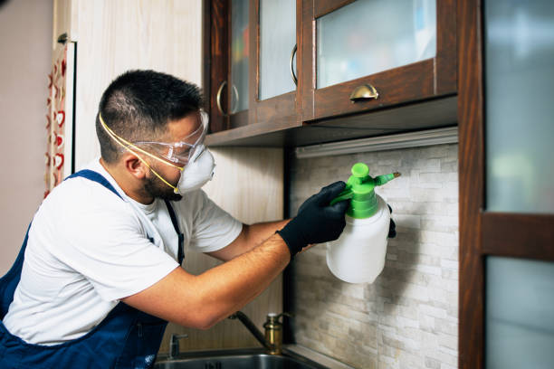 Best Pest Control Near Me in Grundy, VA