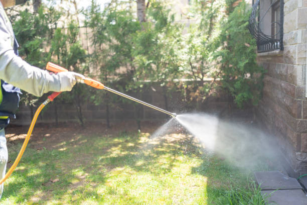 Best Termite Control Services  in Grundy, VA
