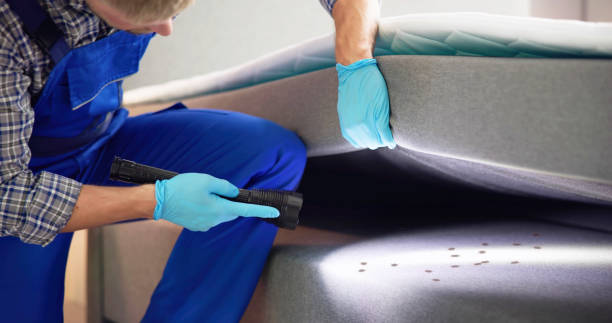 Best Commercial Pest Control Services  in Grundy, VA